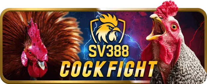 Cá cược các môn khác ve88 casino